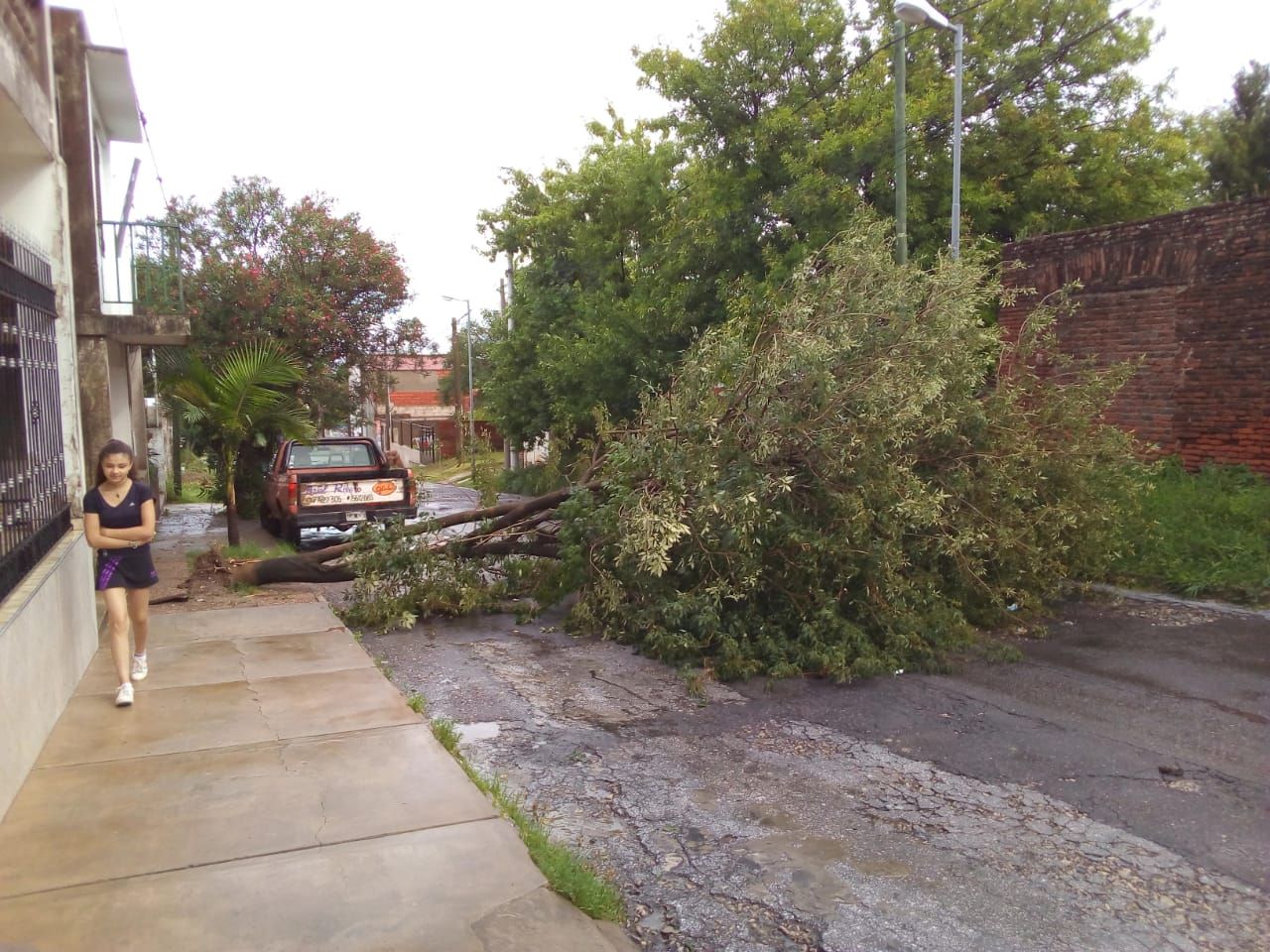El intenso temporal de lluvia y viento generó graves consecuencias en Victoria