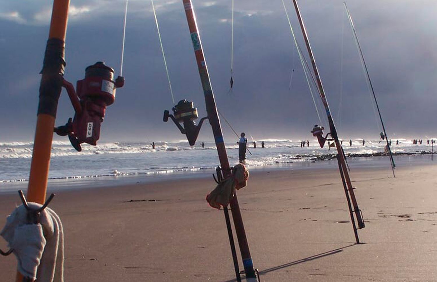 Fiesta Nacional de la Corvina Negra en La Costa: Cuatro noches de música, pesca y un concurso que entrega 800 mil pesos