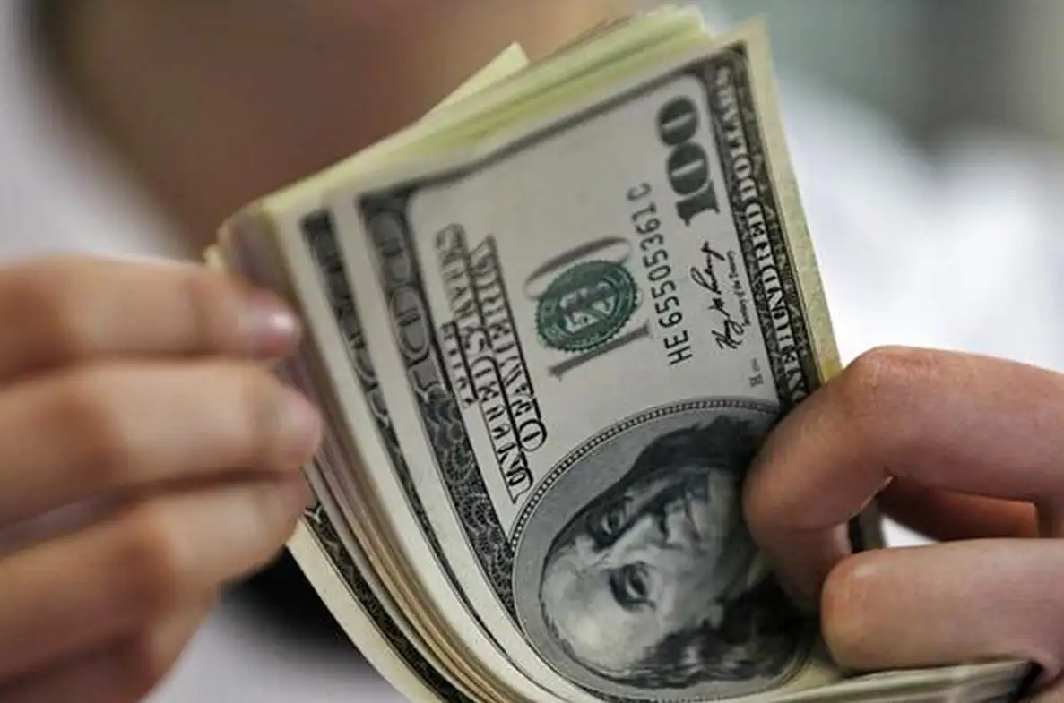 El dólar oficial subió, creció la brecha y el riesgo país cruzó los 1.100 puntos