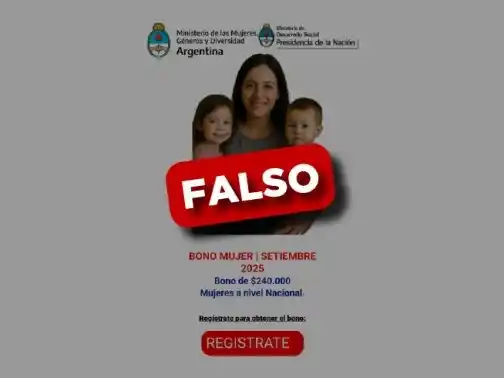 Los mensajes que llegan con información falsa.