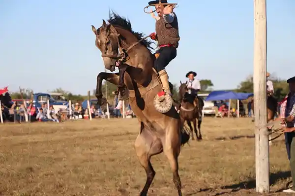“Apostamos a que Gualeguaychú tenga su fiesta de doma y jineteada”