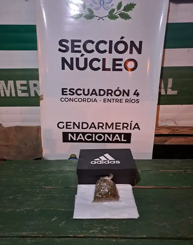 Transportaba marihuana de Concordia a San Salvador