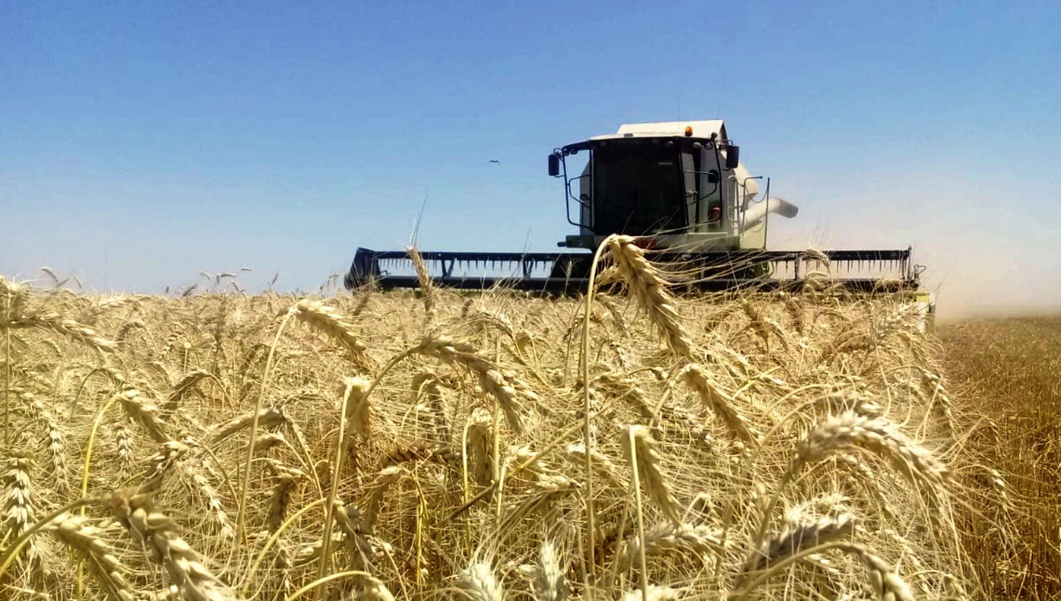 Venado Tuerto: la Municipalidad y la UNR capacitan en actividad semillera