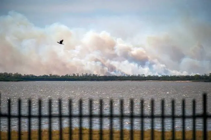 Quema de pastizales: fiscal pide la detención de dueños de campos incendiados