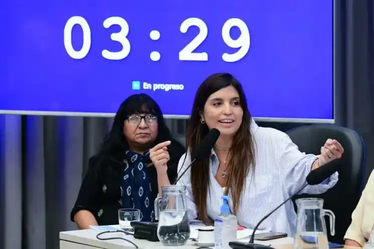 Daniela Vilar sobre la modificación de la Ley de Glaciares: “No avancen porque el daño será irreversible”