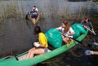 En la sexta jornada de limpieza del Lago, llenaron un camión recolector de residuos