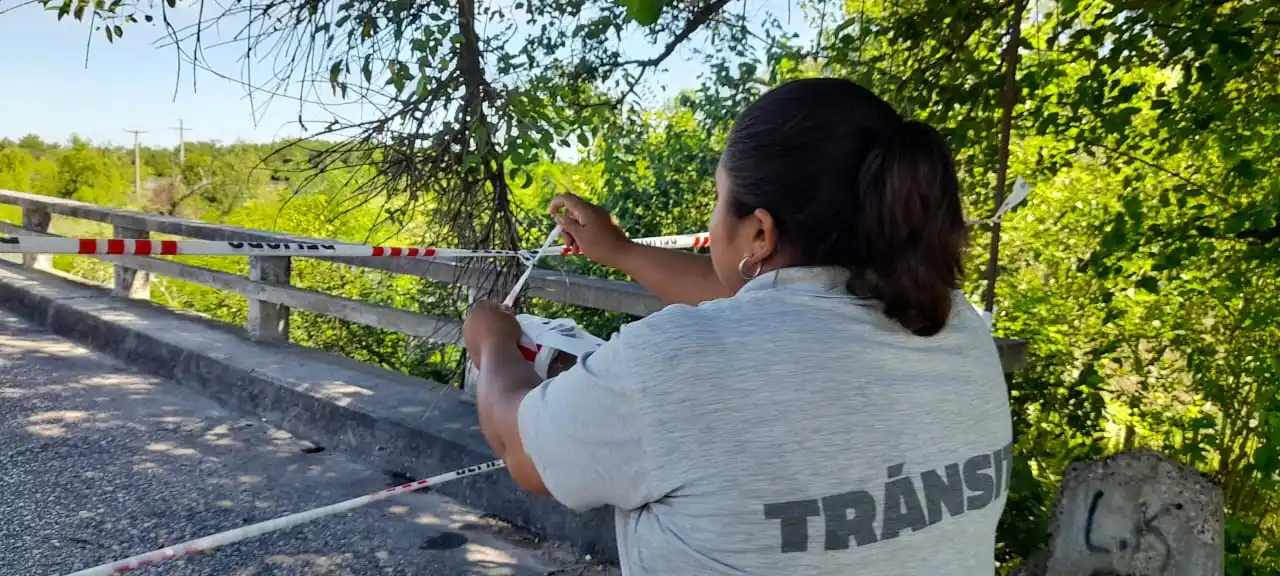 Cayó otro tramo del viejo puente Pellegrini