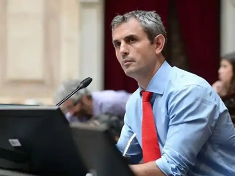 Martín Menem, presidente de la Cámara de Diputados.