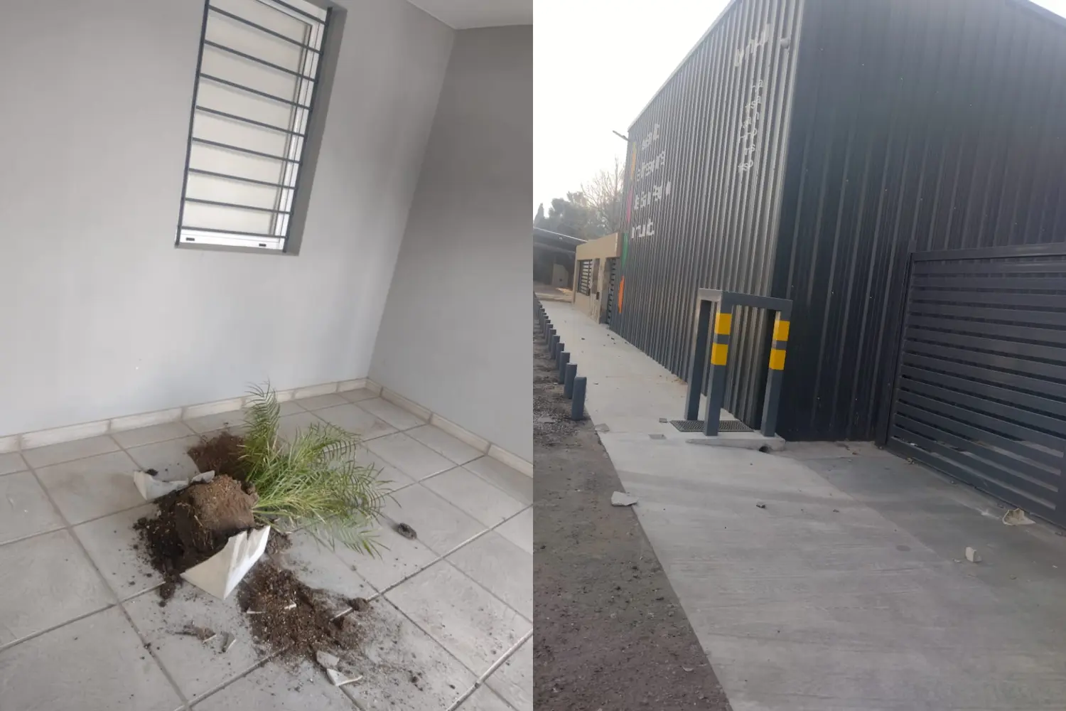 Río Tala: detenido tras ingresar a empresa de empaque y provocar daños