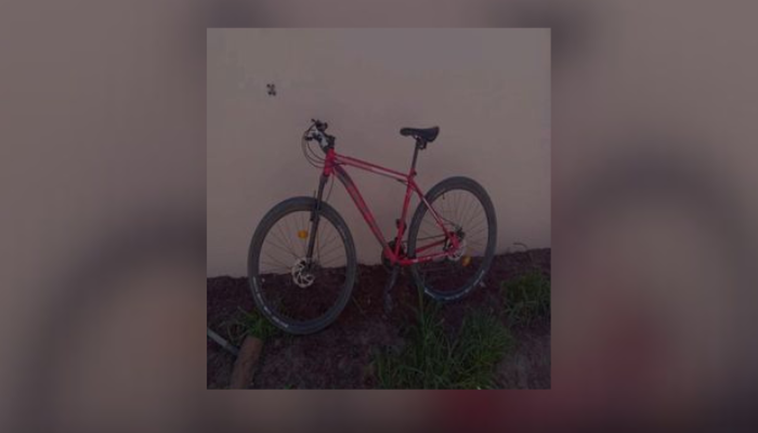 Bicicleta robada afuera de Cuarta Pared