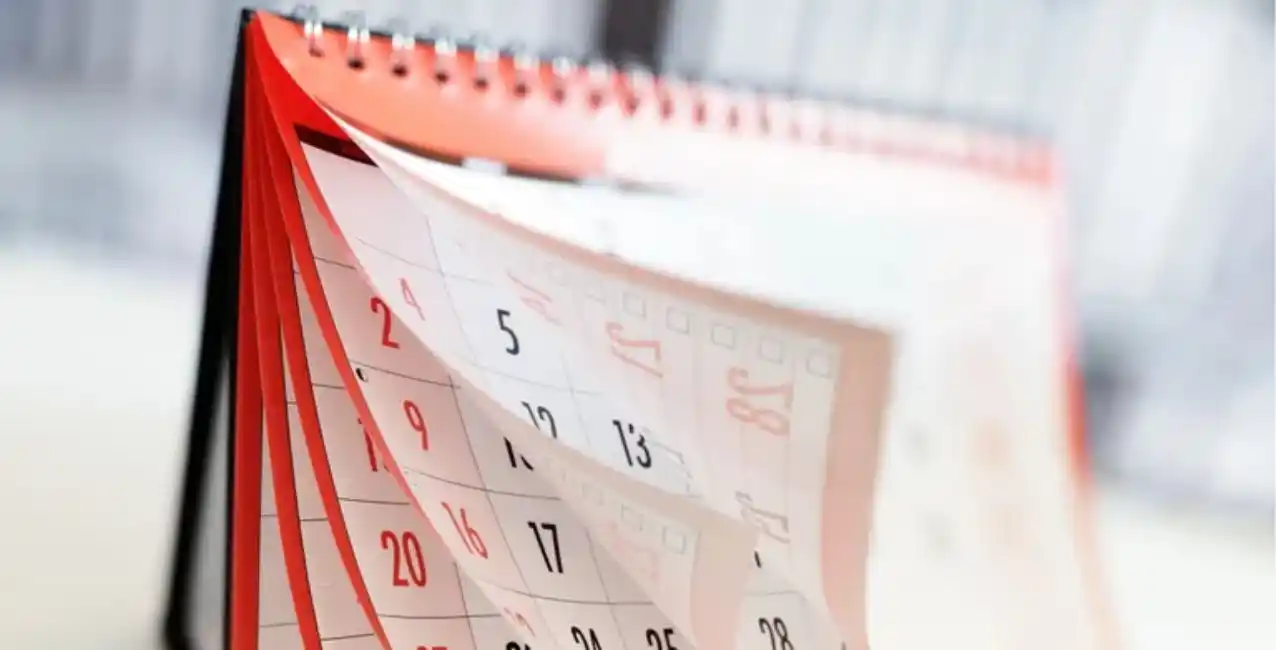 Día de la Tradición: ¿será o no feriado el jueves 10 de noviembre?