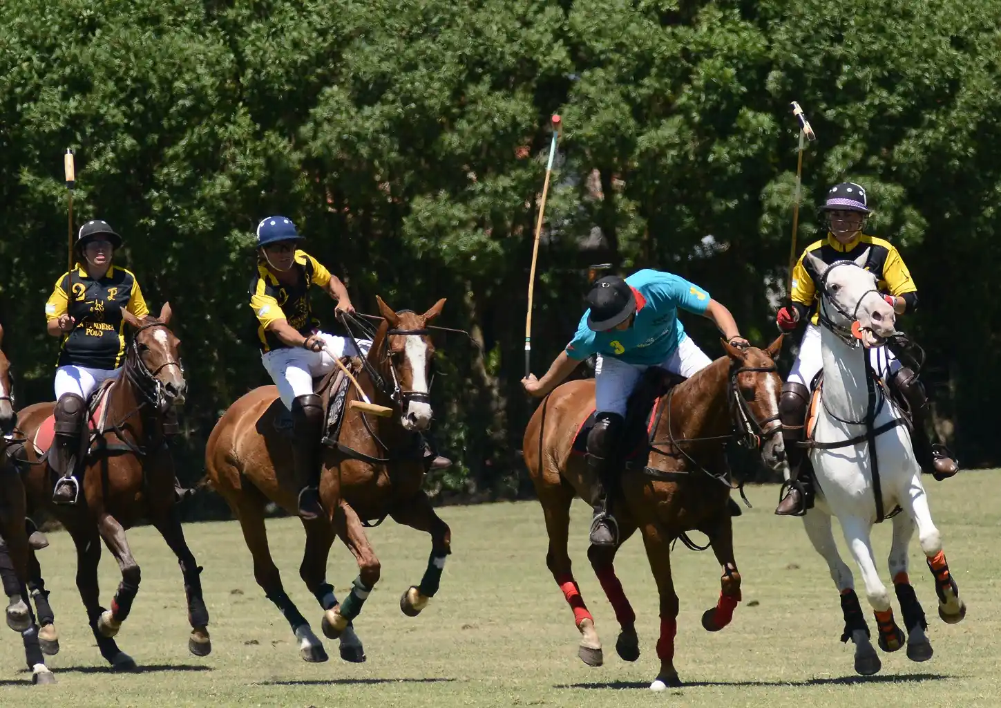 El polo copa Mar del Plata