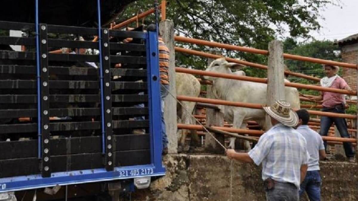 ¡ALERTA! Se viene una «paralización técnica» de la producción a causa del aumento del diésel