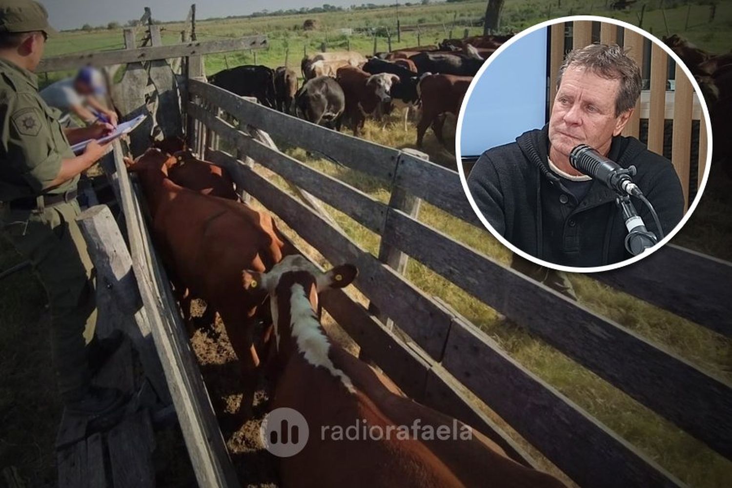 No cesan los robos y abigeatos en zona rural: “La realidad que estamos viviendo es muy compleja y complicada”