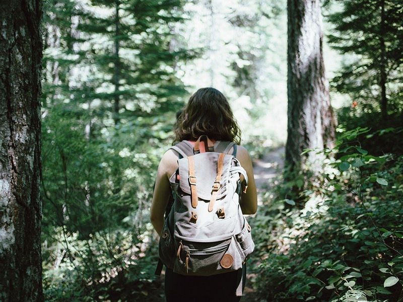 Viajes a la naturaleza: la opción más responsable para conocer los mejores destinos de nuestro planeta