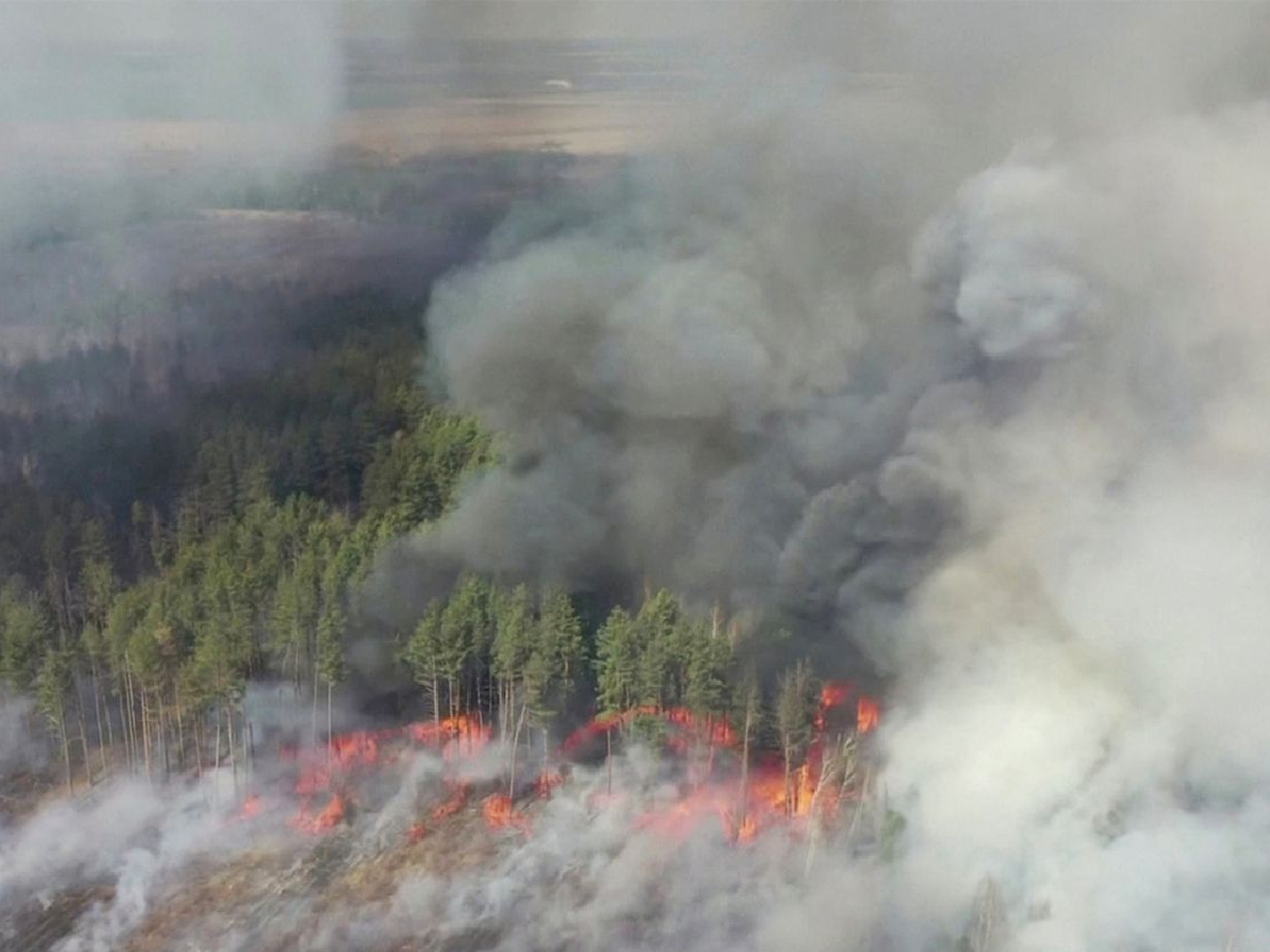 Un incendio en la zona de exclusión de Chernobyl amenaza a la planta