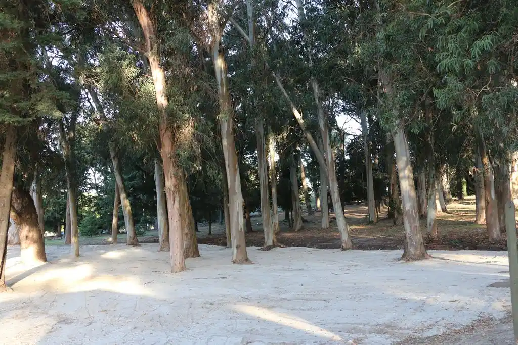 Polémica por la intervención en el Parque Independencia