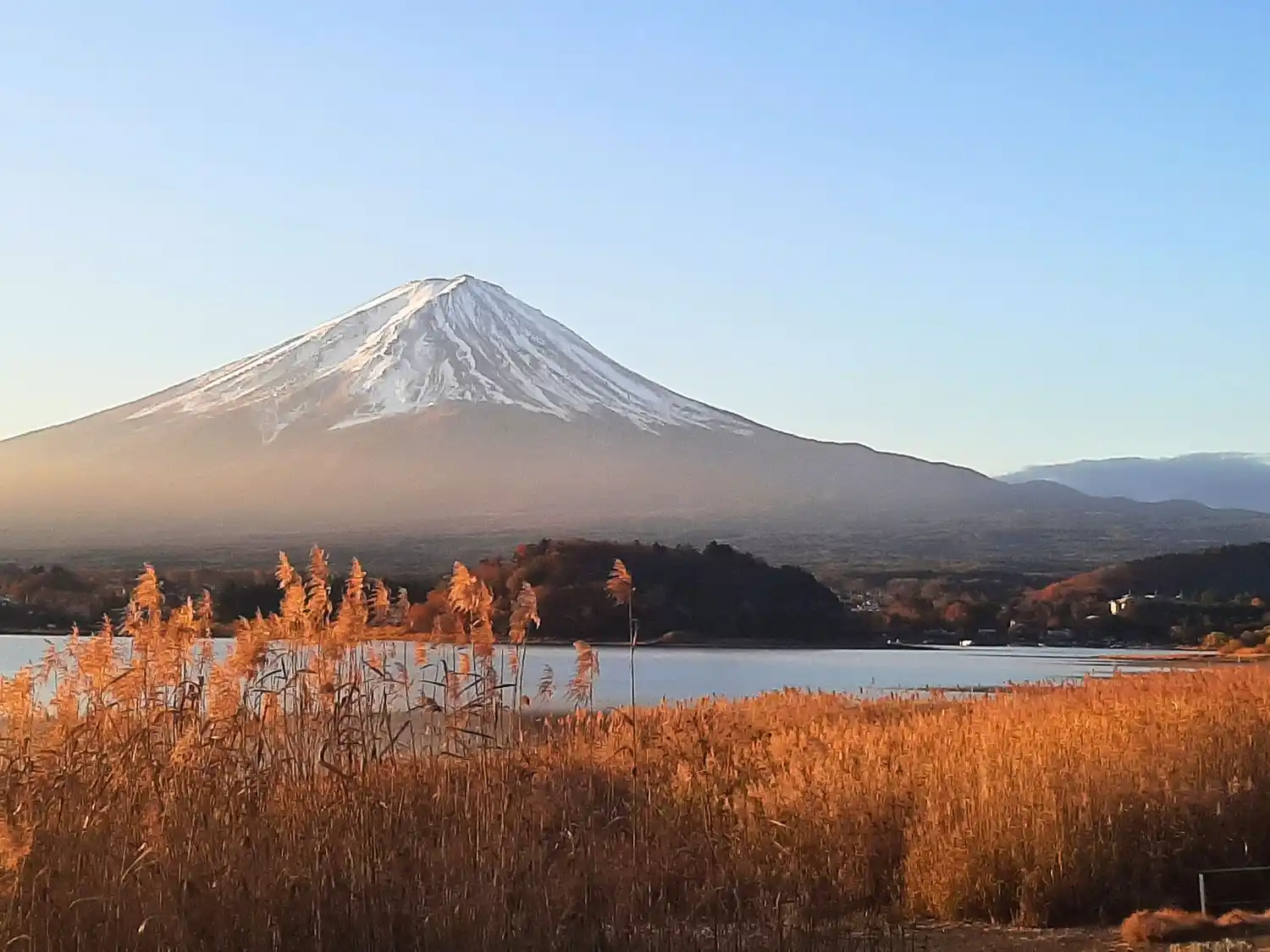 Interrupciones en Japón VI