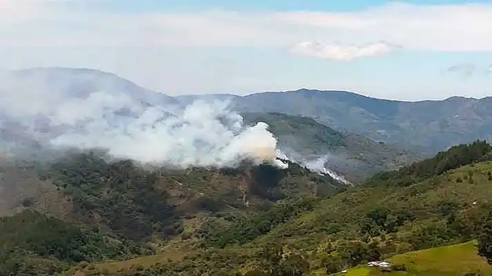 CONTROLAN VORAZ INCENDIO que arrasó 800 hectáreas en el páramo colombiano Santurbán