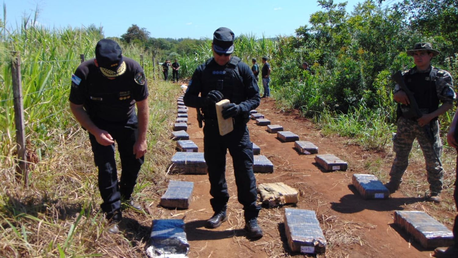 Policía de Misiones Rompe Récord: 27 Toneladas de Marihuana Incautadas en 2023