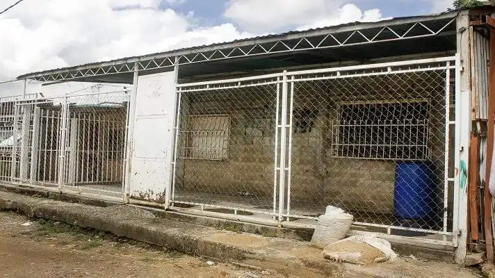 ESTABA DESAPARECIDA y encontraron su cadáver en un congelador: la triste historia de Ana Gabriela