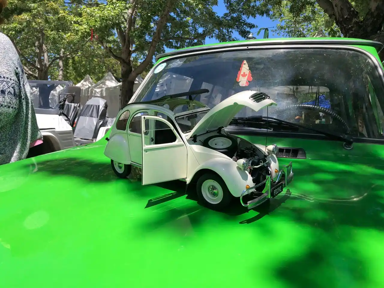 ranita citroen auto agua dique lago 30-11-24 (16) - 10