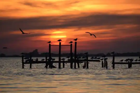 Tres lagunas bonaerenses imperdibles para escaparse de la rutina