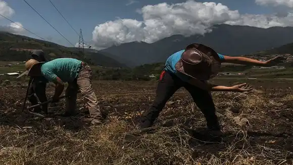LA TORMENTA PERFECTA se avecina: escasez de gasoil ocasionará falta de alimentos en el país