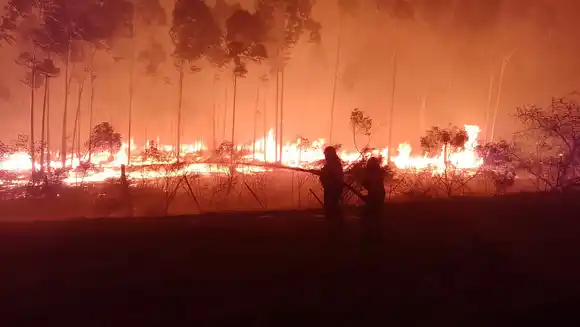 Bomberos Voluntarios logró controlar el incendio de Osvaldo Magnasco