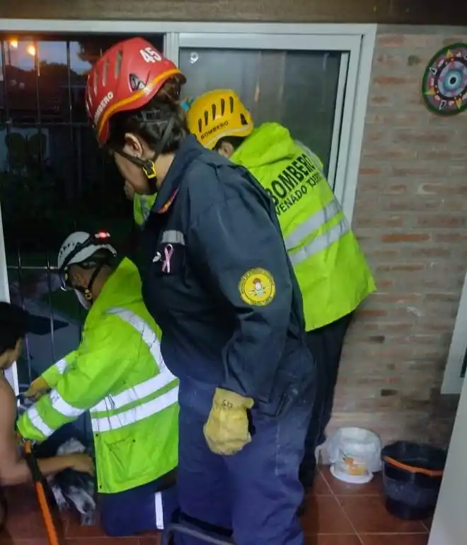 Personal de bomberos en el momento de rescatar al perro.