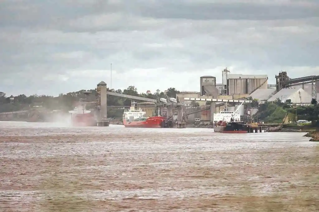 La descarga de granos durante el primer semestre es la más baja desde 2001