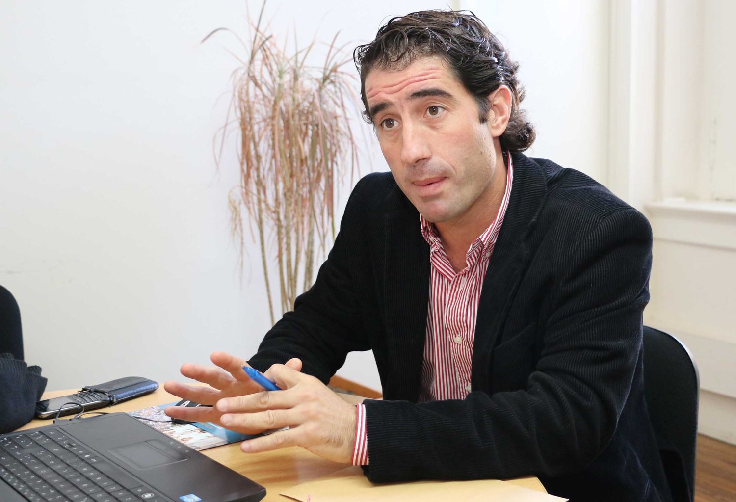 "En el Castillo Morisco no pudimos determinar un procedimiento de fraude económico"