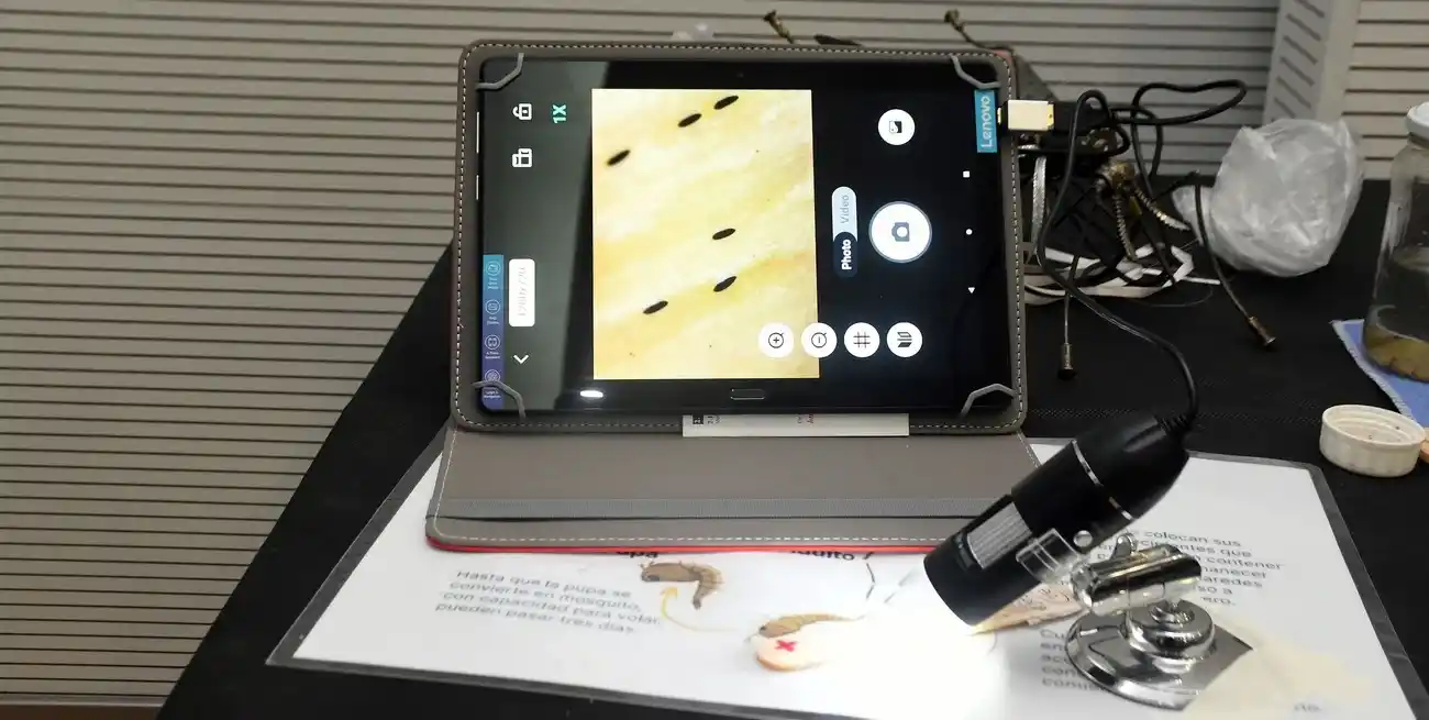 Con la utilización de un software específico se podrá hacer un monitoreo de los sensores de Aedes aegypti (ovitrampas) diseminados en distintos puntos del territorio provincial. Crédito: Guillermo Di Salvatore