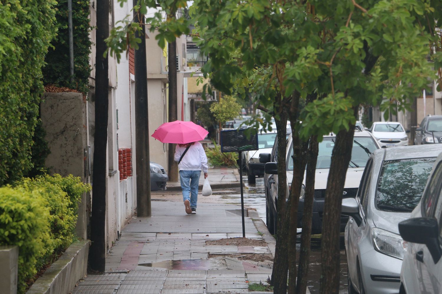 Se acerca la inestabilidad y hay alerta por tormentas en parte de Entre Ríos