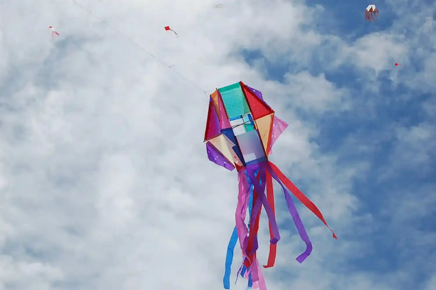 El concurso de barriletes tiene como único requisito que sean elaborados de forma artesanal. Foto: Gentileza.