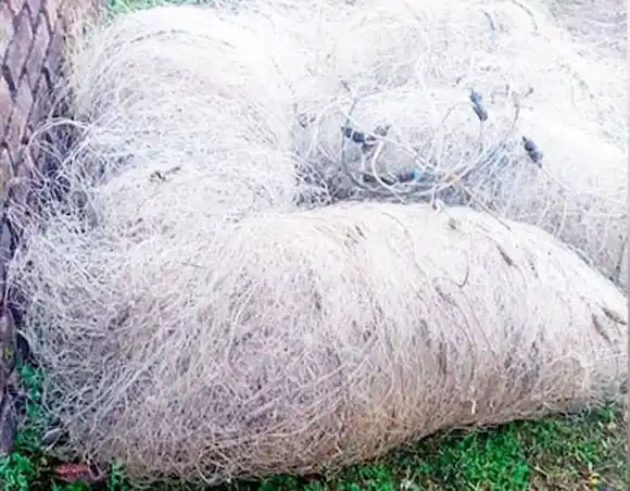 Depredación: incautaron cuatro kilómetros de redes y cañas de pescar