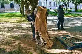 Se acerca el nuevo “Encuentro Provincial de Escultores Gualeguay 2019” -Talla en Madera