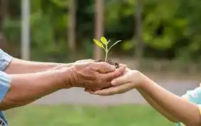 La Ley 27.592 o Ley Yolanda tiene como objetivo garantizar la formación integral de los funcionarios públicos en ambiente, con perspectiva de desarrollo sostenible y con especial énfasis en cambio climático.