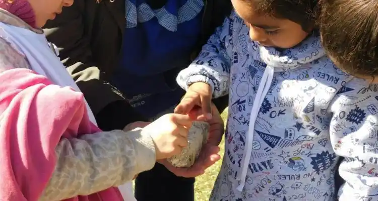 El Grupo Conservacionista de Fósiles recibió a escuelas de la zona de islas de Baradero