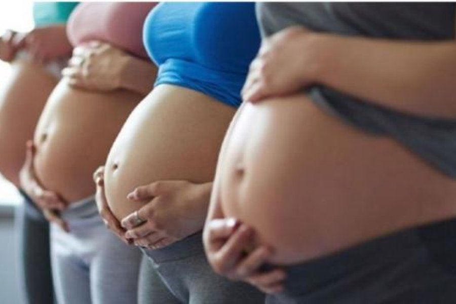 Plan de los 1000 días: presentaron los indicadores sanitarios