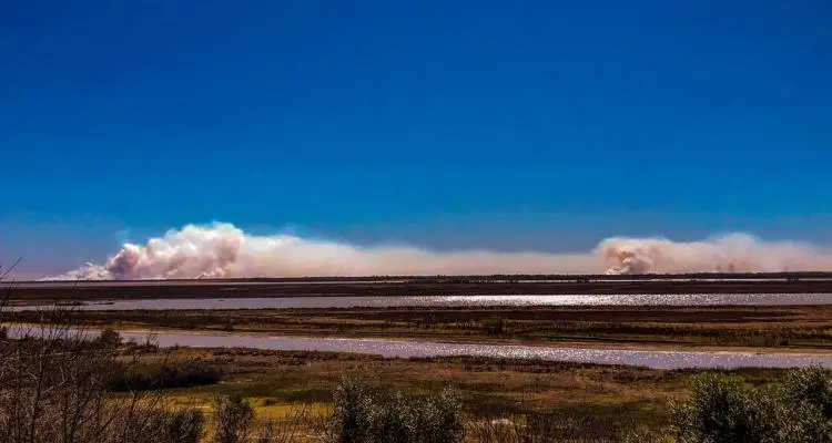 Incendios en las islas: persisten los focos y convocan a un “abrazo al humedal”