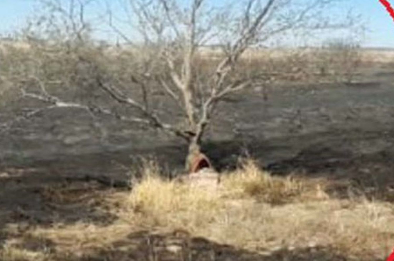 Quedó intacto un santuario del Gauchito Gil luego de un voraz incendio en un pueblo cordobés