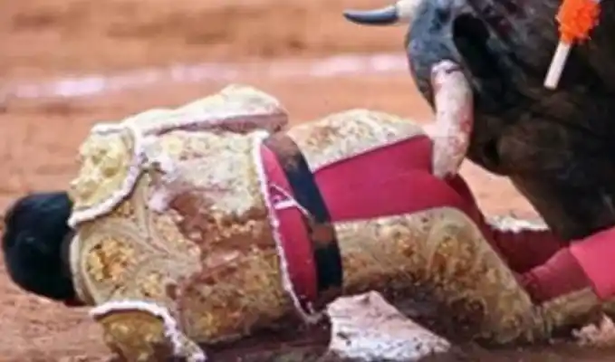 Video: torero recibió una fuerte cornada en una corrida en México