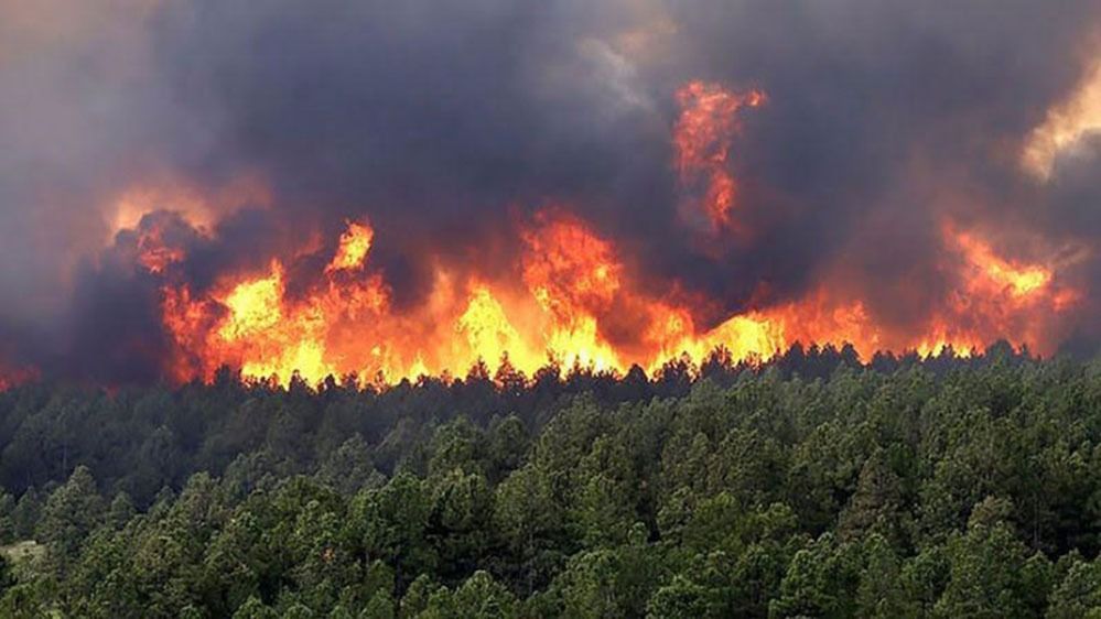 Alerta extrema por incendios forestales en Misiones ante altas temperaturas y sequedad ambiental