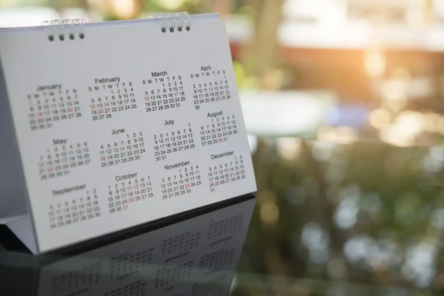 ¿Es feriado el lunes 12 de octubre?