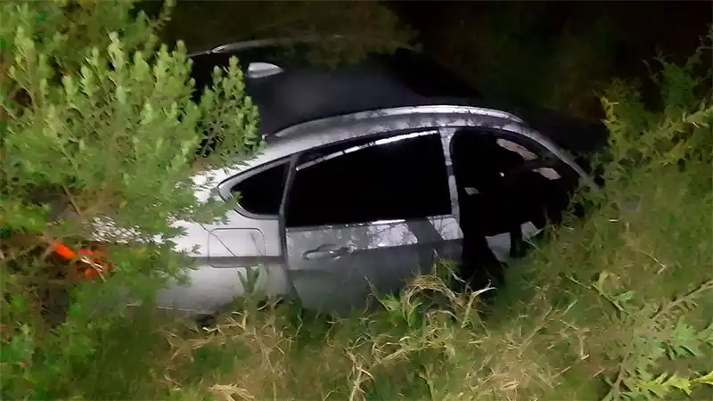 Despistó y terminó entre las malezas de la Autovía 14