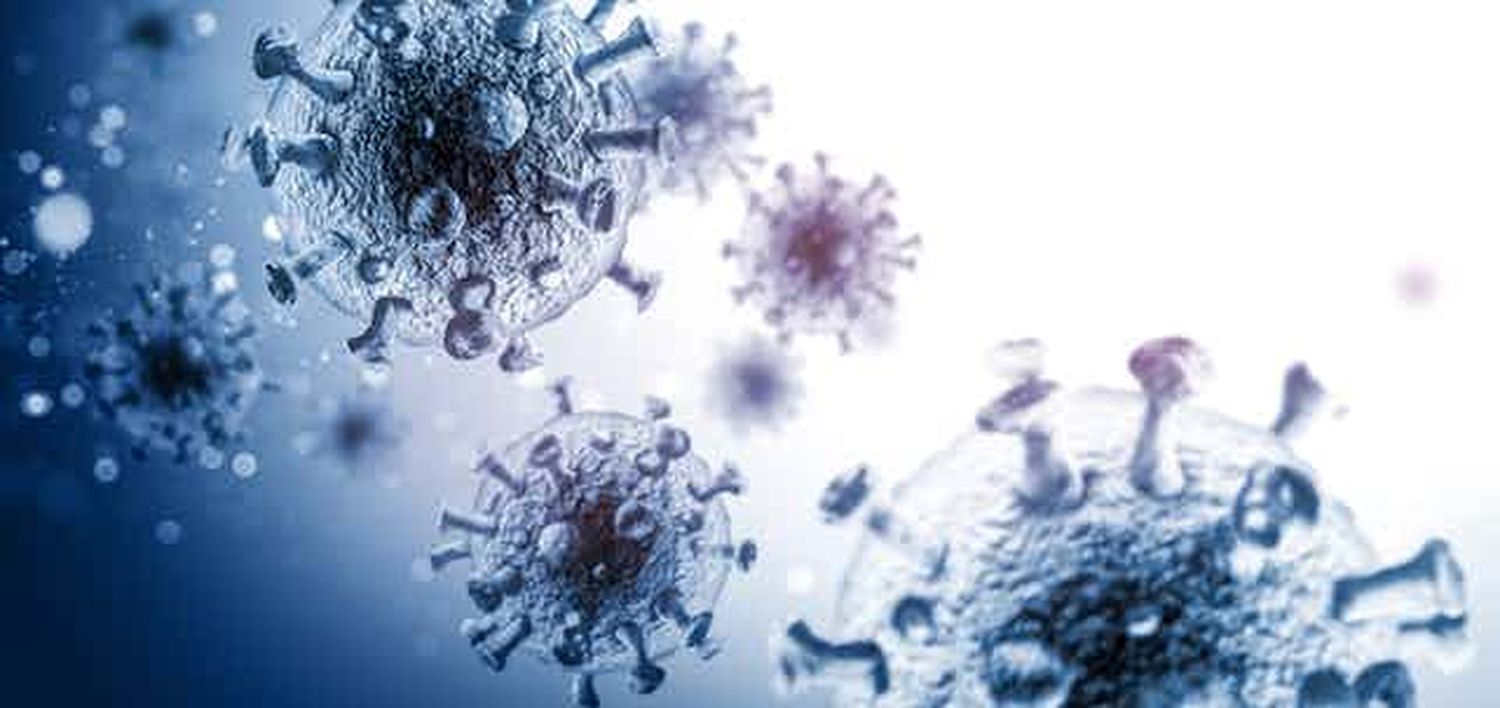 #Coronavirus Parte 21 de noviembre de 2021: 646 casos y 3 muertes informadas en las últimas 24 horas