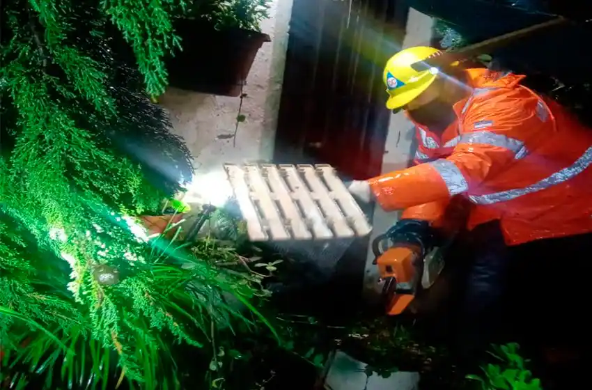Temporal: la caída de un árbol provocó una fuga de gas en una vivienda