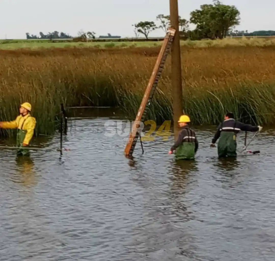 Cooperativa Eléctrica trabajó fuerte para solucionar los estragos de la tormenta