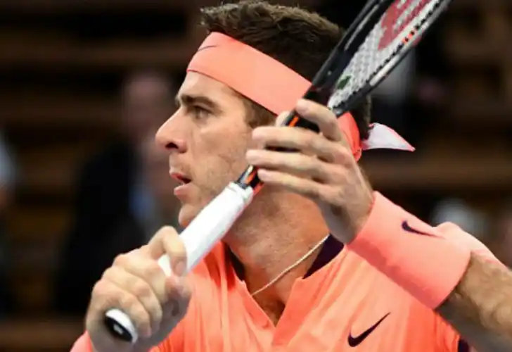 Del Potro se sacó de encima a Karlovic